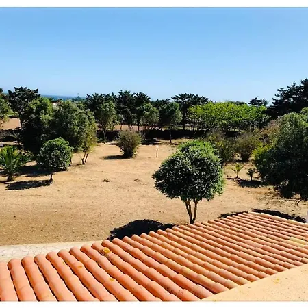 Canova Holidays Rooms- Affittacamere- Affittacamere *